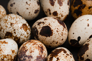 Close up view of quail eggs