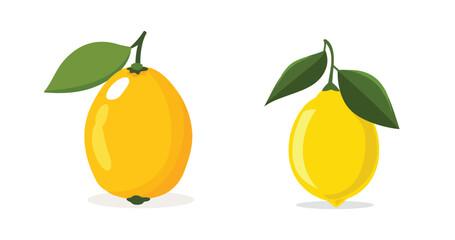 Fresh Green Lemon Set: Whole Fruit with Leaves, Slices, and Cut Lemons for Juice or Vitamin C. Vector Illustration Isolated on White