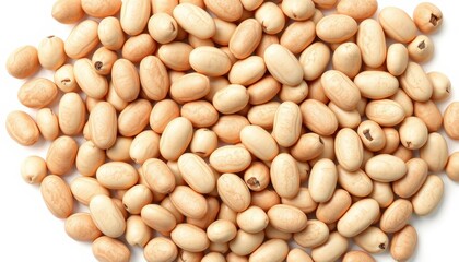 Fototapeta premium Detailed Image of Pinto Beans: Sharp, Intricate Veining and Natural Texture on a Solid White Surface.