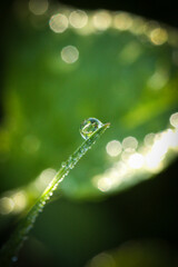 Une goutte d'eau
