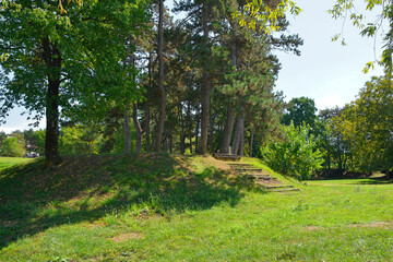 Trees in Borov Gozdicek Borovci Park in the centre of Nova Gorica, Primorska, western Slovenia. Late summer, September