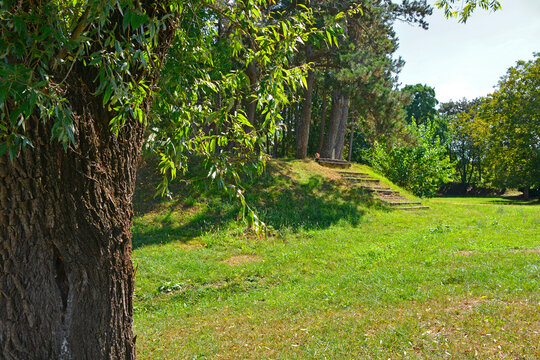 Trees in Borov Gozdicek Borovci Park in the centre of Nova Gorica, Primorska, western Slovenia. Late summer, September