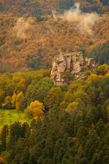 Naklejka premium Burg im Herbst