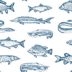 Hand Drawn Fish Vector Seamless Pattern Background. Fresh Water Trout, Sturgeon, Eel and Catfish Sketches Seafood Card Cover Template in Blue Color Wallpaper Template. Isolated