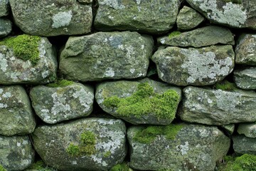 Fototapeta premium A Stone Wall Covered in Moss and Lichen