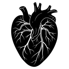 Detailed Heart Organ Vector Illustration - Human Anatomy Graphic