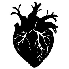 Detailed Heart Organ Vector Illustration - Human Anatomy Graphic