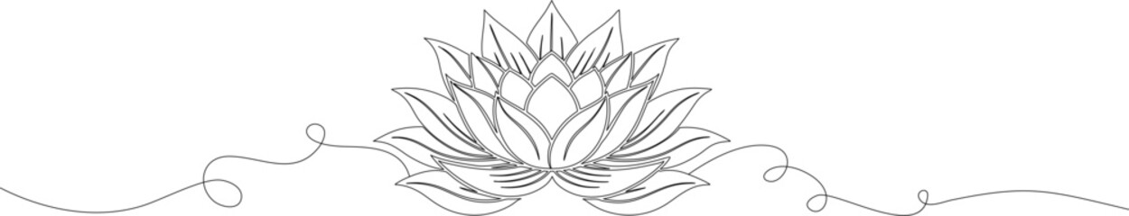 illustration flowers vector.  vector botanical illustration. Vintage Floral Line Art