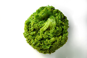 Large green bunch of lettuce leaves on a white background. Insulation