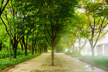 서울숲