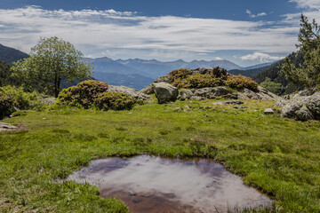 Landscape view of green meadow with puddle and  mountains in background at summer, Arinsal, Andorra