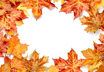 Autumn Leaves Frame with White Background