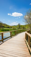 Serenity on the wooden boardwalk winding through a lush wetland under a vibrant blue sky