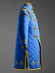 Historical fashion. Medieval knight cloth. Padded jacket gambeson.