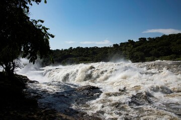Obraz premium rapids on the blue nile at Murchison waterfalls in Uganda