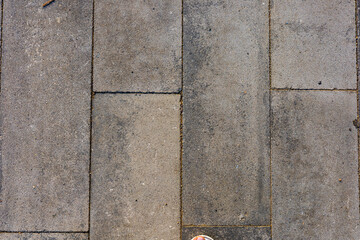 Grey paving stones, linear paving, cobblestone sidewalk.