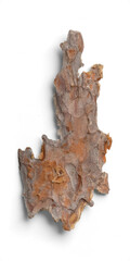 Obraz premium Natural Brown Tree Bark with Layered and Peeling Texture