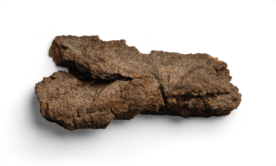 Organic Brown Tree Bark with a Weathered Surface