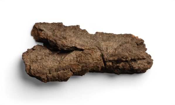 Organic Brown Tree Bark with a Weathered Surface