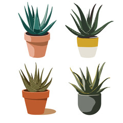 4 Beautiful Aloe Vera Plant Illustrations for Nature & Health Designs