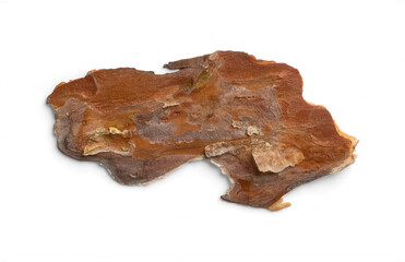 Rustic Brown Tree Bark with Distinctive Cracks and Patterns