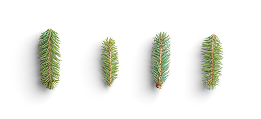 Set of Evergreen Fir Sprigs