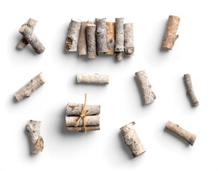 Set of Birch Branches with Natural Gray and Brown Tones