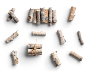 Set of Birch Branches with Natural Gray and Brown Tones