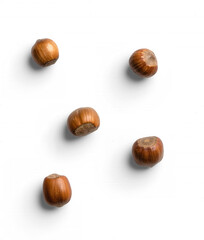 Set of Isolated Hazelnuts in Shell