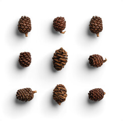 Set of Red Wood Pinecones