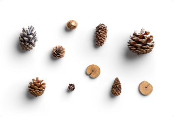 Set of Winter Decor Elements with Pinecones Wood Cut Gold