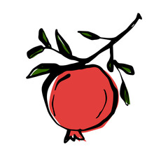 Red pomegranate on a branch with green leaves, sketch vector drawing, doodle illustration, black line on a white background