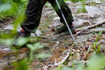 A person strolls through a flowing stream in tranquil woods, enjoying the serene beauty of nature, surrounded by tall trees and colorful plants, creating a peaceful atmosphere