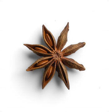 Star Anise Pod