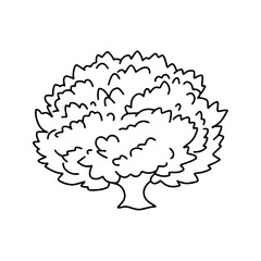 Shrub in doodle style. Vector isolated on white background