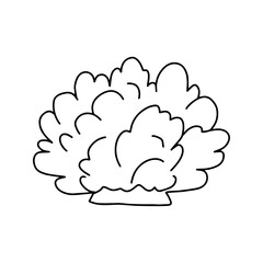 Shrub in doodle style. Vector isolated on white background