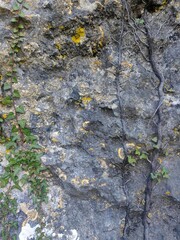 Natural wall rocks stone in a forest with liken. Background or digital use.