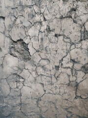 Natural wall rocks stone in a forest with liken. Background or digital use.