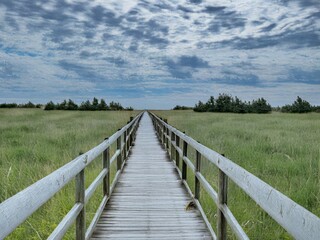 wooden bridge over the river