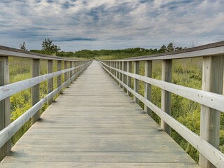 Obraz premium wooden bridge over the sea