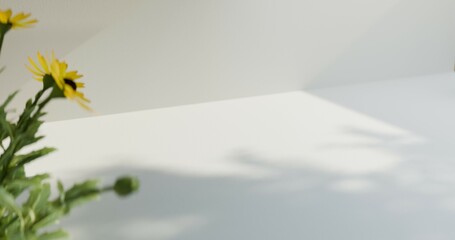 flower in the window