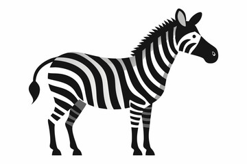 Zebra vector art and illustration