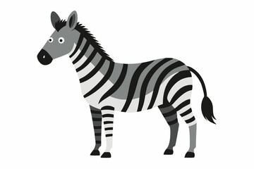 Zebra vector art and illustration