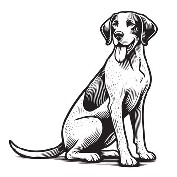 recommend clip art: Pointer Dog Silhouettes, Pointer dog logo English pointer silhouettes, Standing Pose Vector Silhouettes, Outlines clipart mascot of Pointer Dog