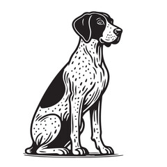 Pointer Dog Silhouettes, Pointer dog logo English pointer silhouettes, Standing Pose Vector Silhouettes, Outlines clipart mascot of Pointer Dog