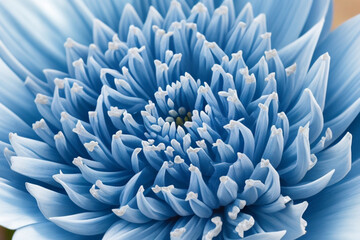 Blue Flowers. Macro picture of very tiny blue wild flowers.