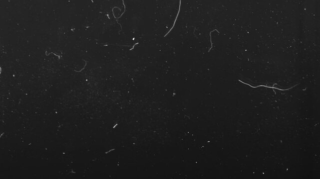 Burnt onion texture combined with a vintage countdown loader, evoking nostalgia old TV style and retro film reel effects. A visual tribute to analog video and grainy cinematic experiences.