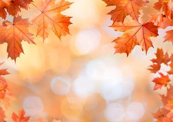 Fototapeta premium Orange Maple Leaves with Blurred Autumn Background