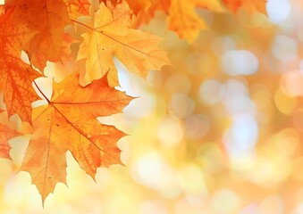 Fototapeta premium Close-Up Orange Maple Leaves Autumn Background