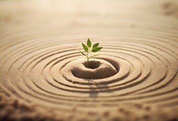 Naklejka premium Zen Garden Sprout: Growth and Healing
